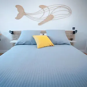 Coup De Cœur Assuré Pour Ce T2 Rénové Hyper Centre Appartement